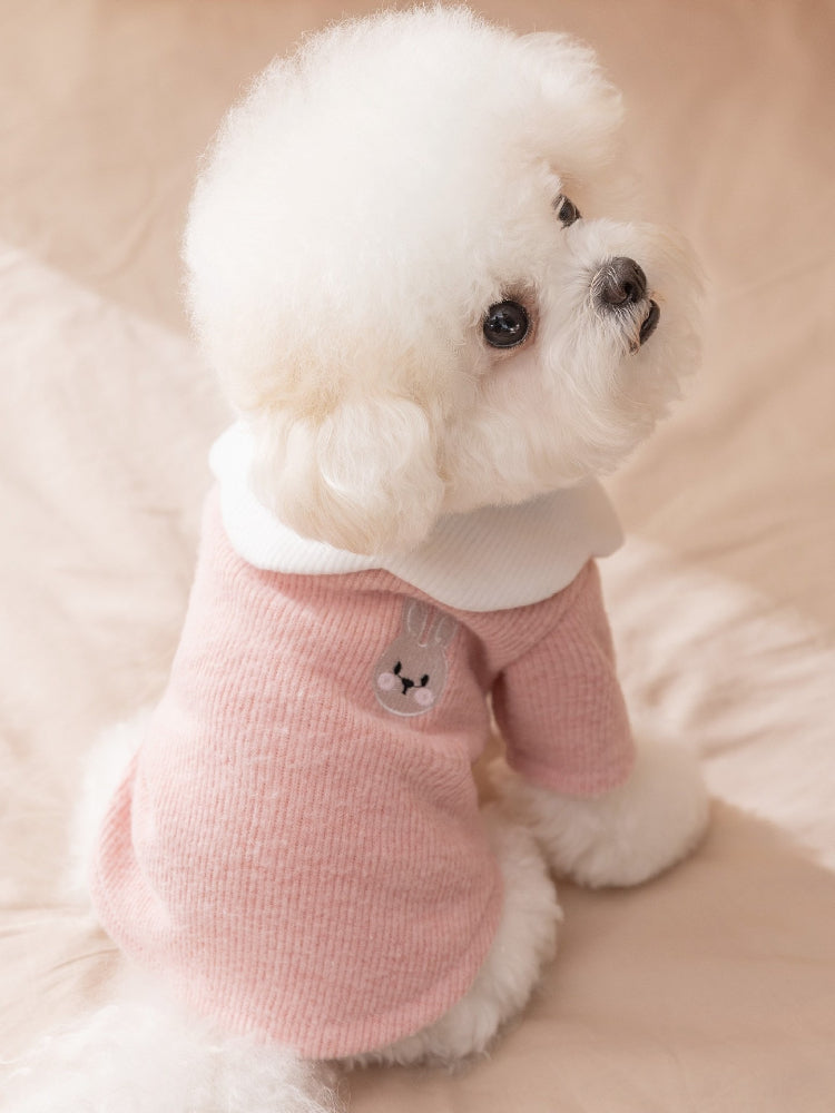 A white Bichon Frise dog wearing a pink ribbed knit sweater with a white ruffled collar and a small embroidered bunny motif on the chest.