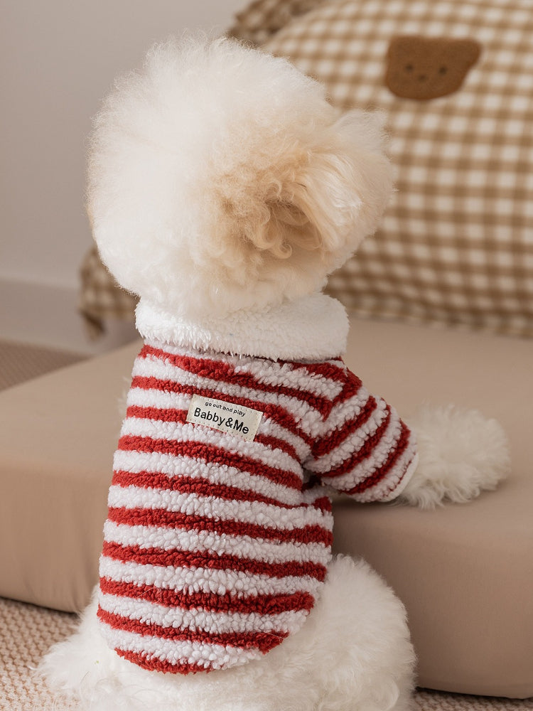 A white Bichon Frise dog wearing a red and white striped fleece hoodie, shown from the back.