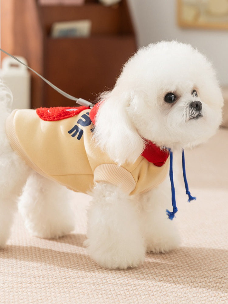 A white Bichon Frise dog wearing a yellow hoodie with a red hood and blue drawstrings, attached to a leash.