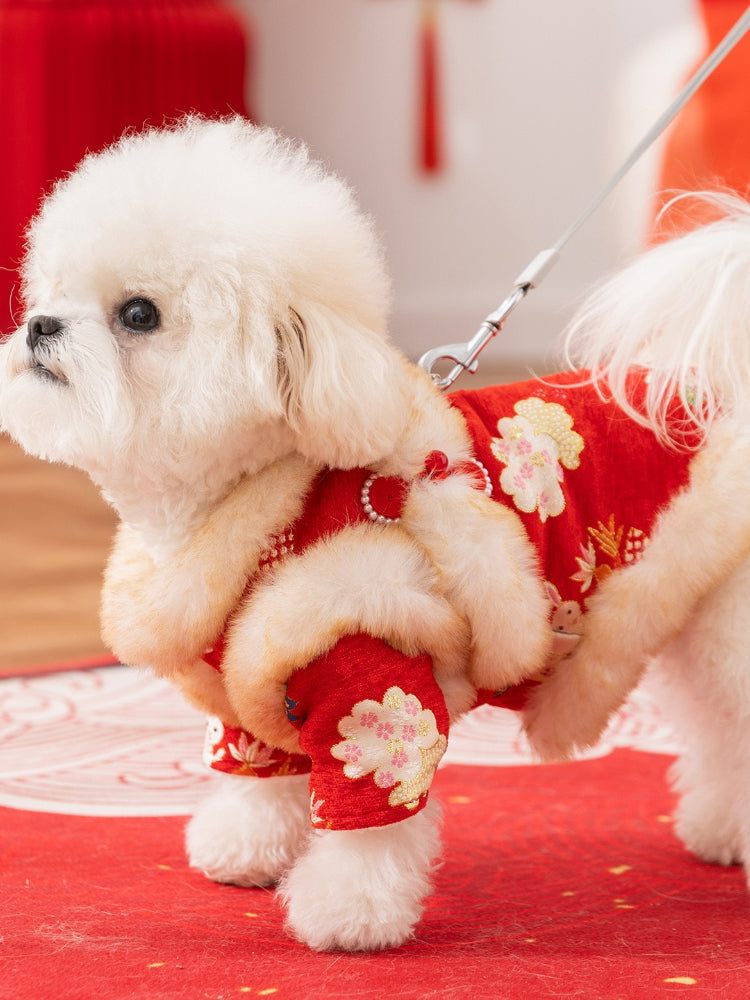 Side view of a white poodle dog wearing a red festive coat with embroidered rabbits and flowers, with a leash attached.