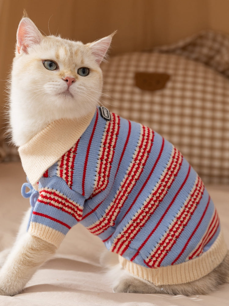 A white cat with blue eyes looking up, wearing a blue and red striped knit sweater with a collared neckline.