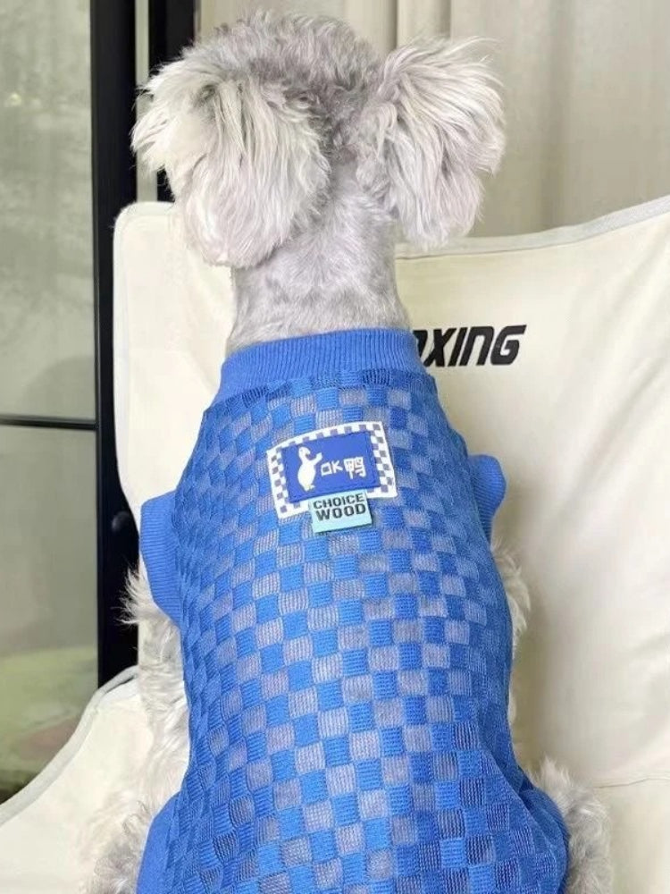 Back view of a miniature schnauzer wearing a blue checkered mesh knit dog sweater with a label.
