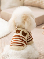Back view of a white poodle wearing a cream and brown striped dog sweater with embroidered bear appliques