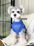 Miniature schnauzer wearing a blue checkered mesh knit dog sweater, sitting on a white chair.