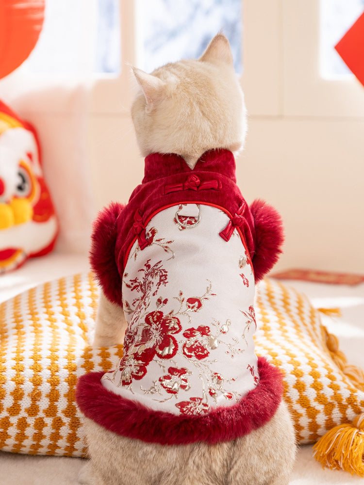 Rear view of a light-colored cat wearing a red and white traditional Chinese-style vest with floral embroidery and red faux fur trim.