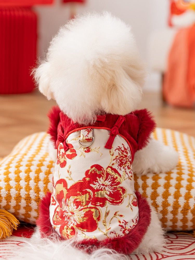 Rear view of a white Bichon Frise dog wearing a red and white floral embroidered vest with red faux fur trim, sitting on a cushion.