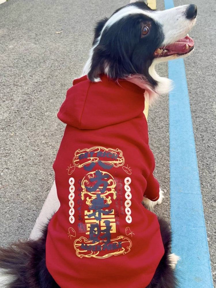Rear view of a Border Collie dog wearing a red hooded sweatshirt with a large graphic print on the back.