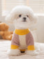 White Bichon Frise dog wearing a color block sweater with yellow, pink, and cream sections, sitting on a bed.