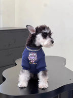 Side view of a Mini Schnauzer puppy wearing a navy blue sweatshirt with a pink monster graphic and chain detail, sitting on a black table.