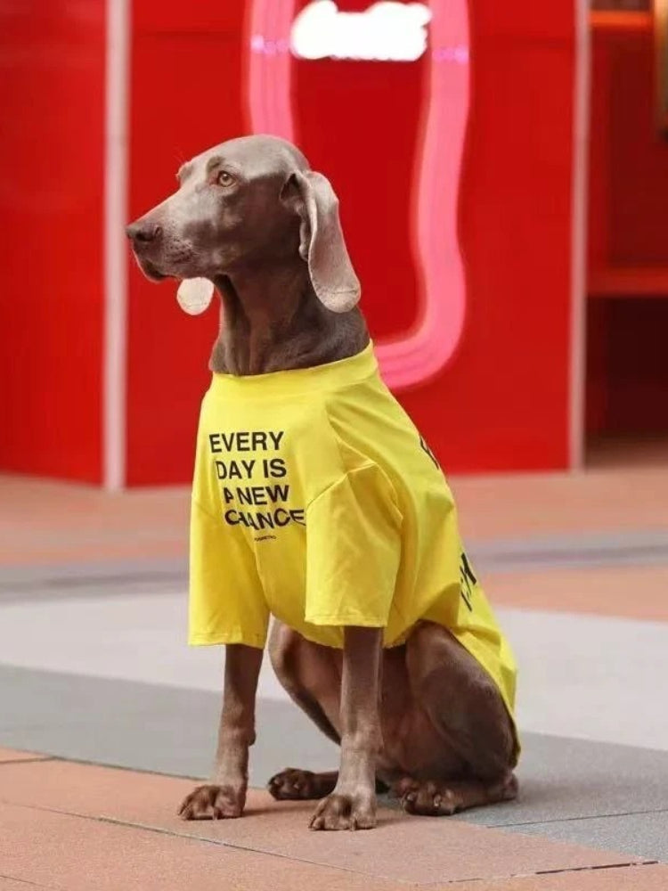 Yellow Graphic T-Shirt For Large Dogs Breathable Summer