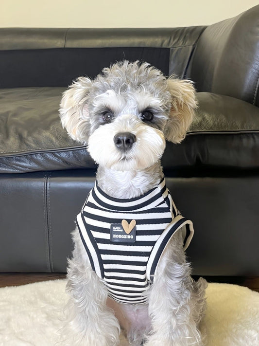 Classic Striped Dog Tank Top Ribbed Summer Vest