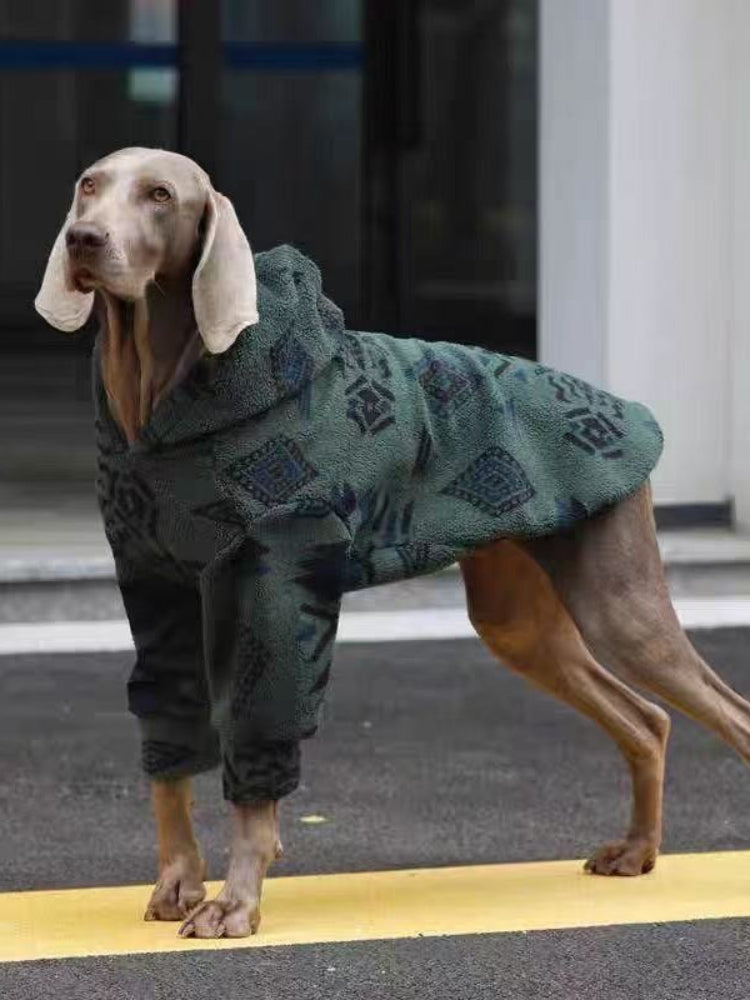 A Weimaraner dog stands outdoors wearing a dark green fleece hoodie with a geometric pattern.