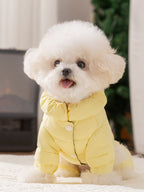 White bichon frise dog wearing a yellow puffer coat with a hood