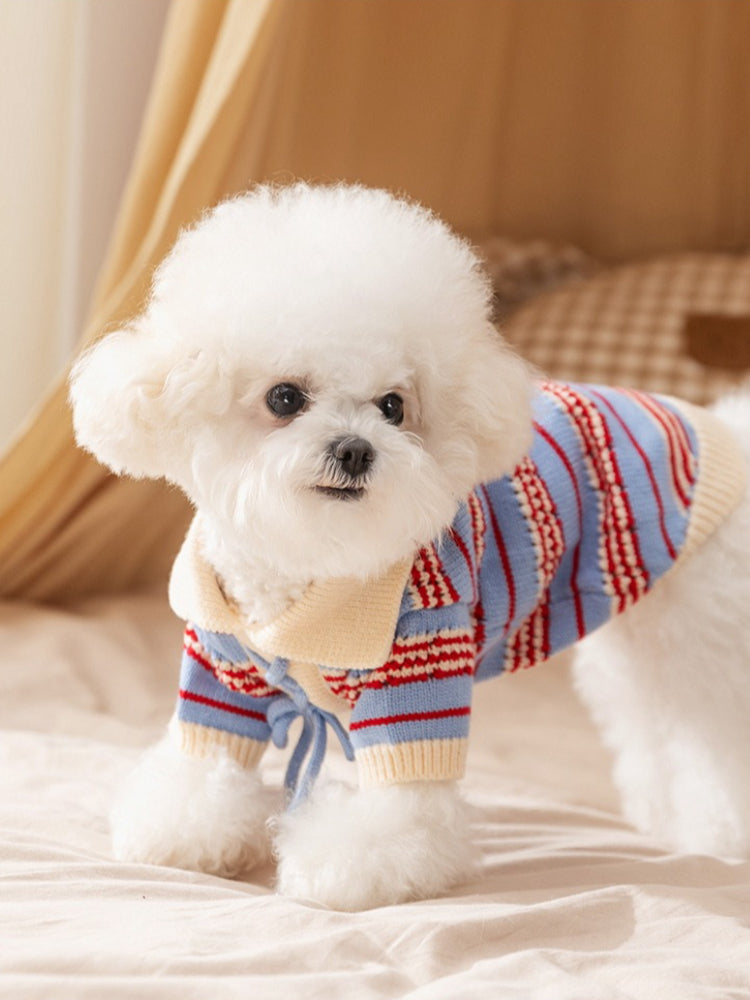 Striped knit dog sweater with collar and lace-up detail - View 6 | TEVQA