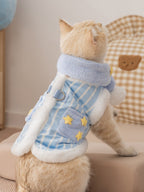 Rear view of a cream-colored cat wearing a light blue striped vest with white faux fur trim and yellow embroidered stars. The vest has a small pocket detail with stars.