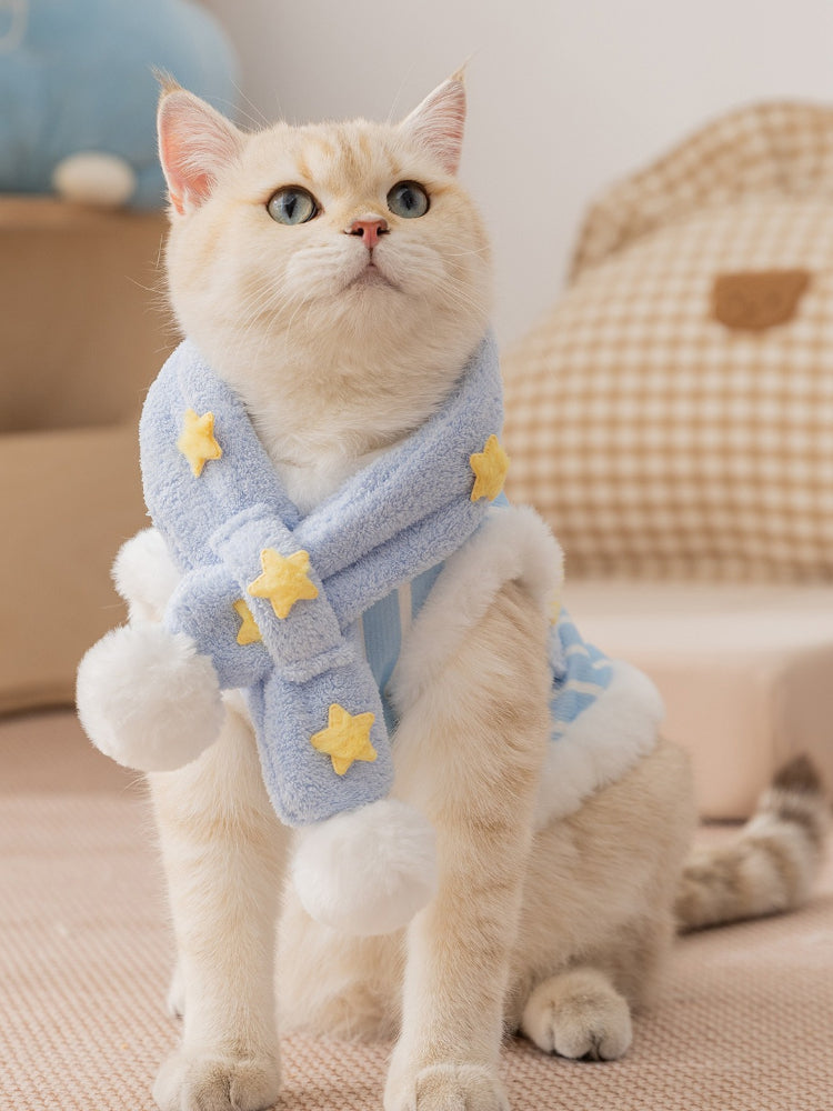 A cream-colored cat wearing a light blue striped vest with white faux fur trim and yellow embroidered stars, accessorized with a matching light blue scarf with yellow stars and white pom-poms.