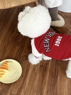 White poodle wearing a red baseball jacket with 'New York 1988' on the back, next to a croissant on a plate.