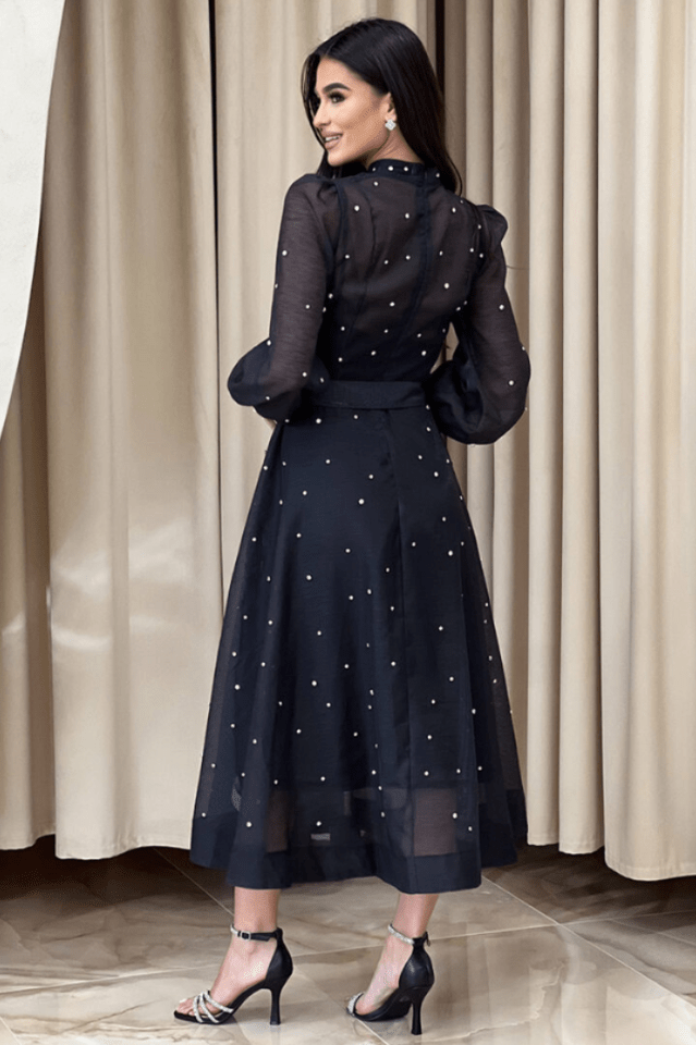 Emelia Crystal Embellished Sheer Maxi Dress - Tevqa