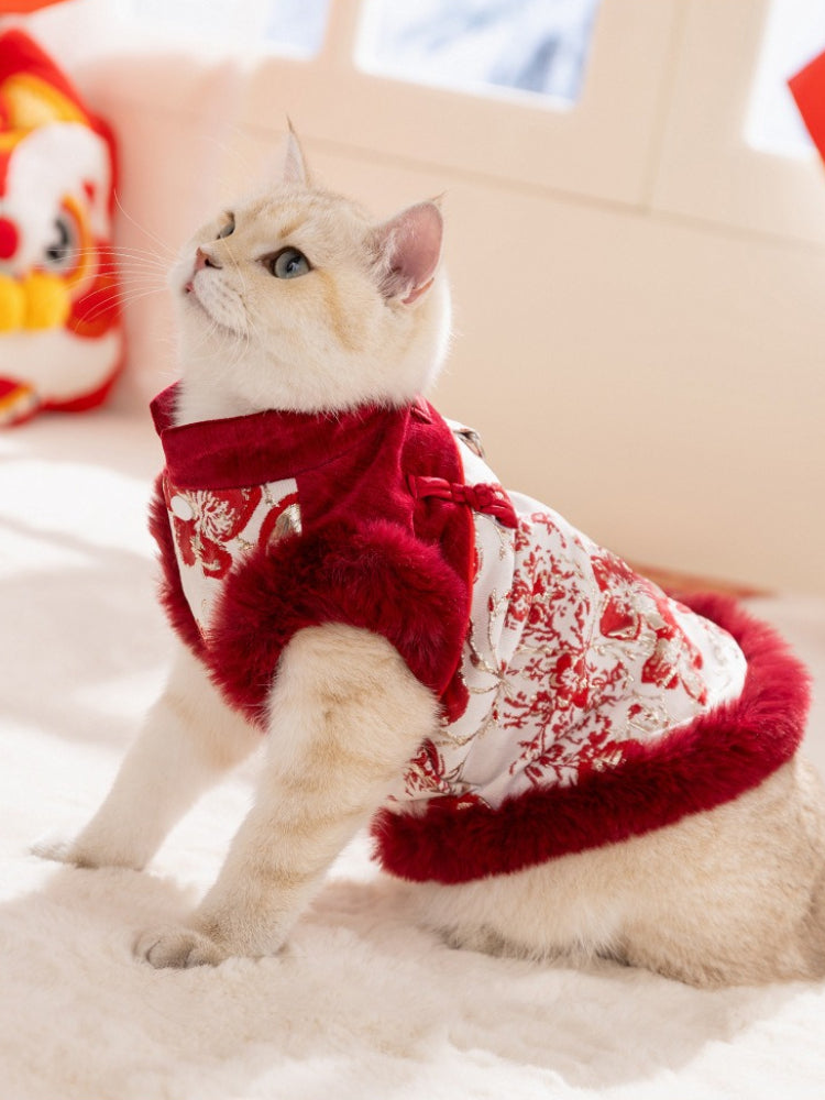 A light-colored cat wearing a red and white traditional Chinese-style vest with floral embroidery and red faux fur trim, sitting and looking to the side.