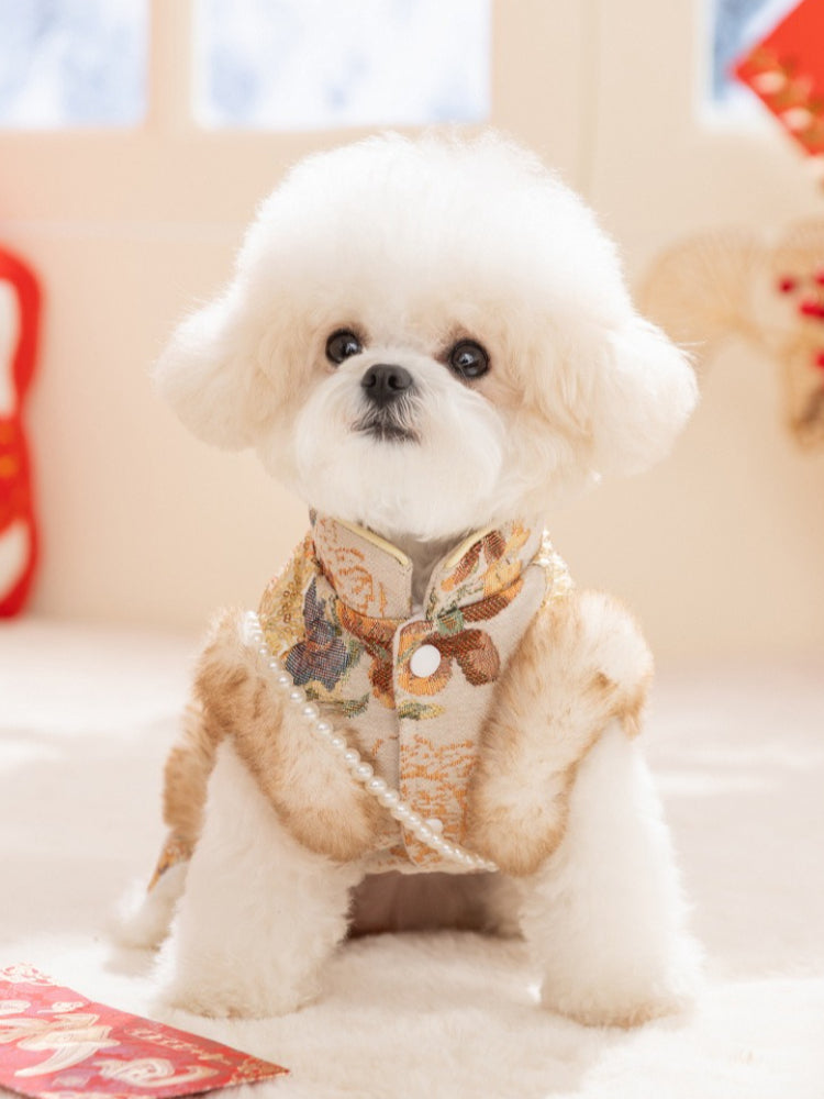 A small white dog wearing a gold and floral brocade coat with faux fur trim and pearl accents, sitting down.