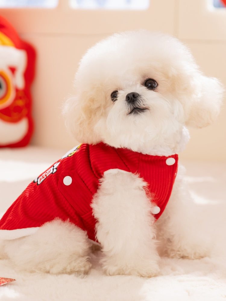 Close-up of a white dog wearing a red corduroy vest with white button closures and faux fur trim, looking forward.