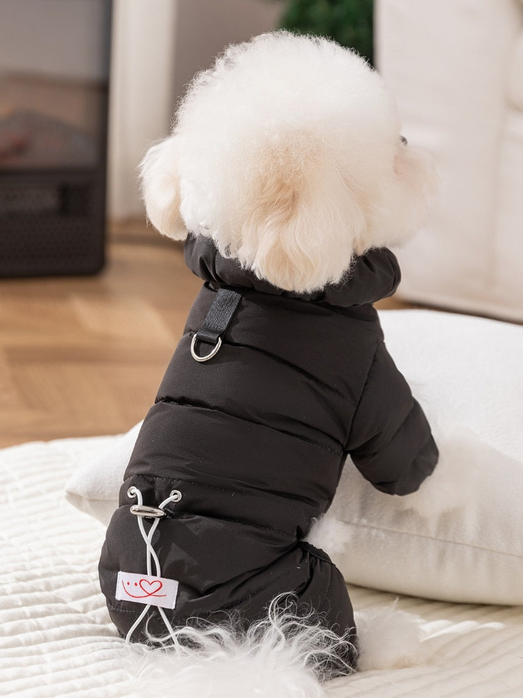 Rear view of a white bichon frise dog in a black puffer coat, showing drawstring waist and leash loop