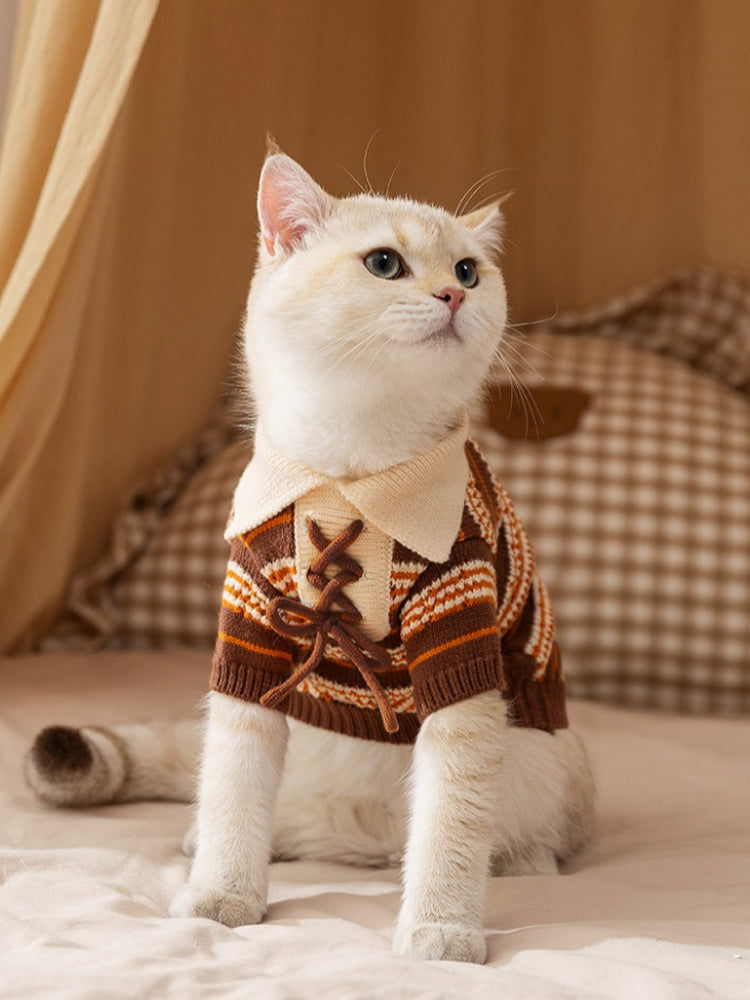 A white cat wearing a brown and orange striped knit sweater with a collared neckline and lace-up detail.