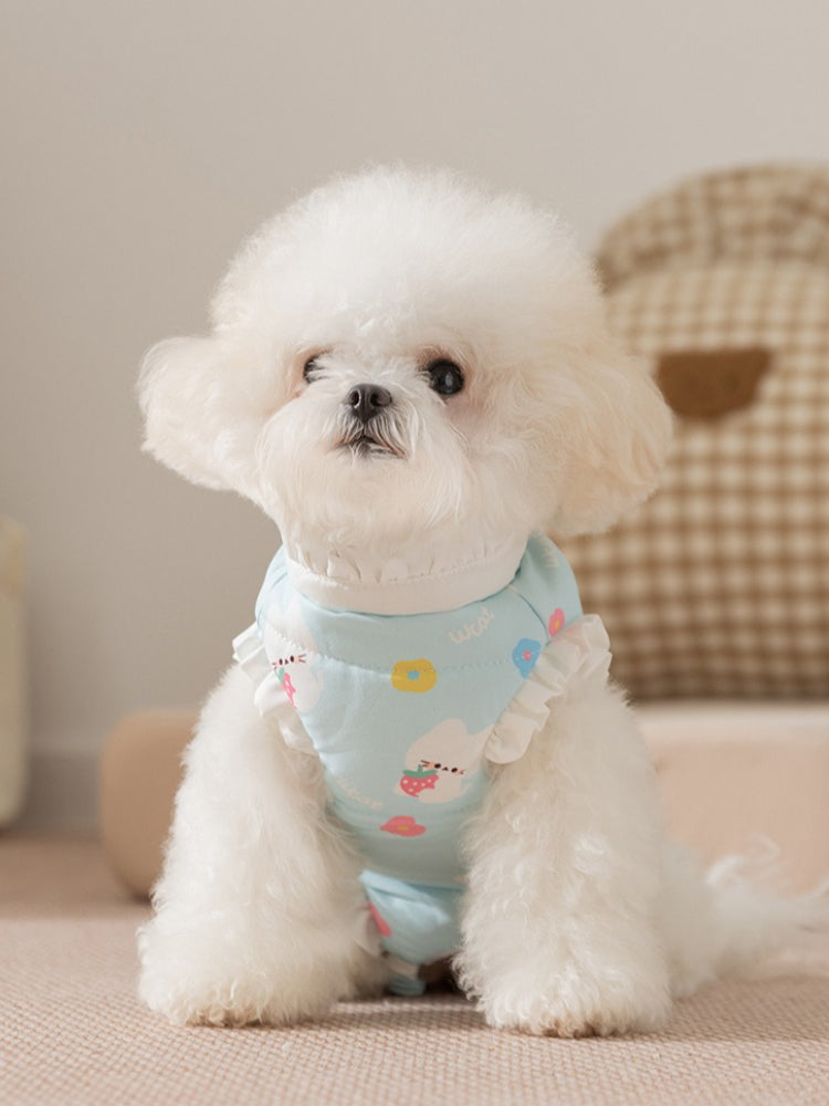White poodle wearing a light blue pet vest with a strawberry and cloud print and ruffle trim, sitting down.