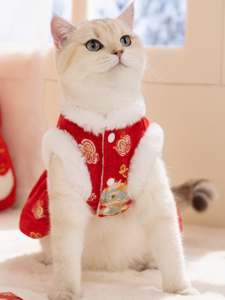 A light-colored cat wearing a red, festive dress with dragon patterns and white faux fur trim, sitting upright and looking upwards.