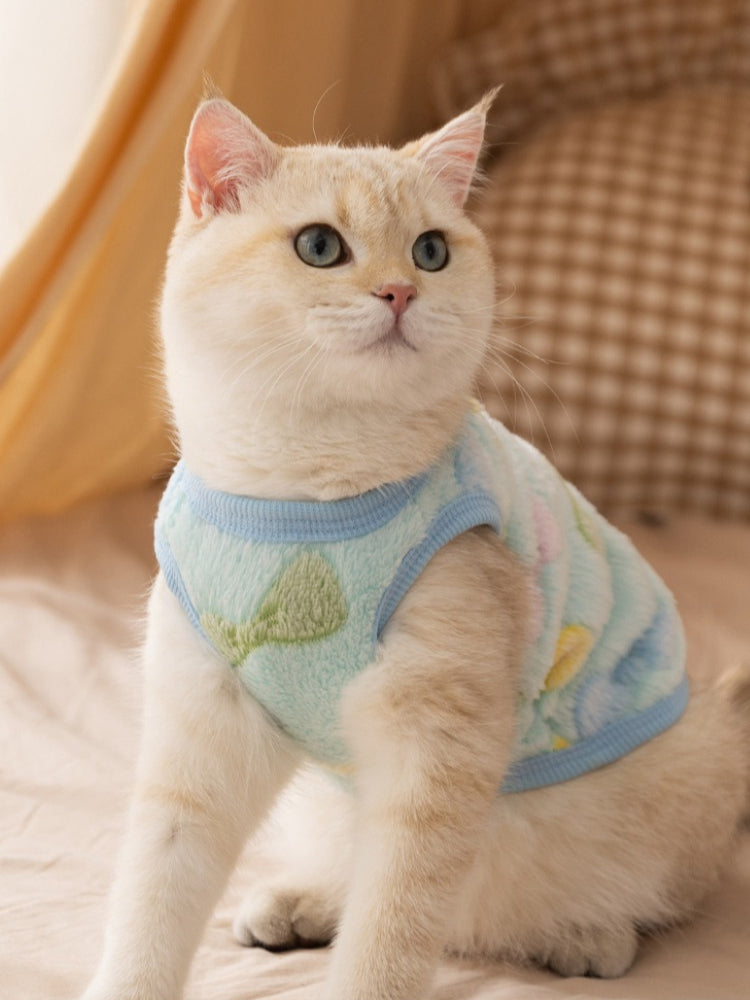 A cream-colored cat wearing a light blue fleece vest with a playful pattern and a small white charm on the back.