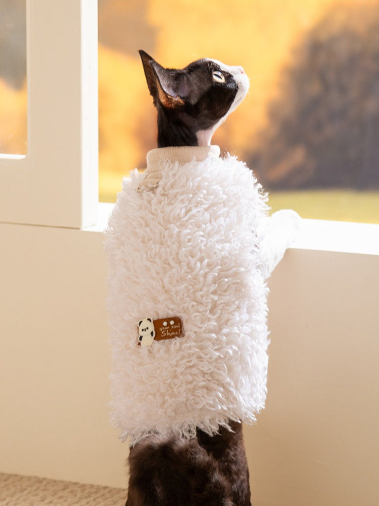 Black and white cat wearing a white sherpa fleece vest, looking out a window.