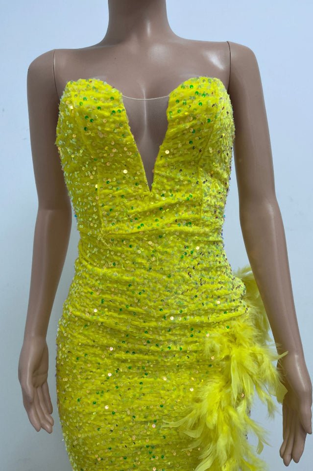 Sequin Feather Trimmed Dress - Tevqa