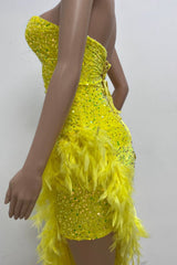 Sequin Feather Trimmed Dress - Tevqa