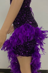 Sequin Feather Trimmed Dress - Tevqa
